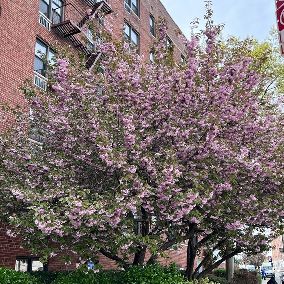 PLEASE, LIKE, FOLLOW & SHARE, SHARE, SHARE! THANK YOU!❤️❤️ - Picture 7 of 16